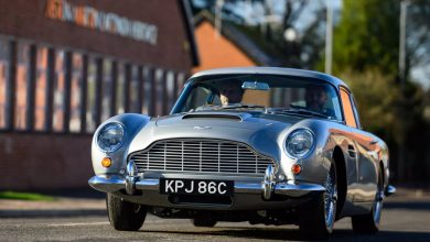 گنج میلیون دلاری دوباره زنده شد