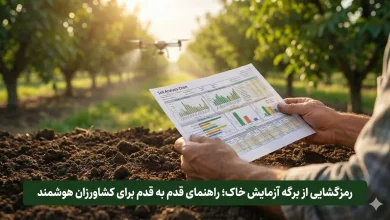 رمزگشایی از برگه آزمایش خاک؛ راهنمای قدم به قدم برای کشاورزان هوشمند